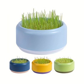 Resim Çekirdeksiz Kedi Çimi Yetiştirici: 3 Gün Çimlenme Süresi, Başlangıçlar İçin Kolay - Plastik Kedi Mama Kabı 