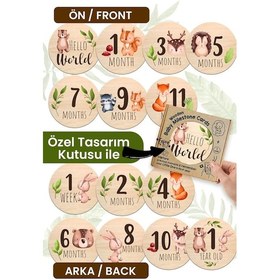 Resim Aylık Bebek Kartları Ingilizce Milestone Cards Bebek Hediyelik Anı Kartı Ay Kartları 