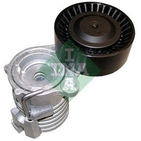 Resim INA 534029610 V Kayisi Gergisi-Komple (Vw Polo 02-12 Seat Ibiza 02-10 Skoda Fabia 00-15) Azq-Bme-Cgpa-Cgpb (WA866441) 