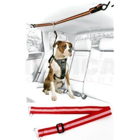 Resim Mtmcar Araç İçinde Köpek Bağlama Kemeri 