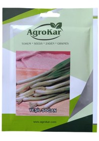 Resim Yeşil Soğan Tohumu 10 Gr 1 Paket 