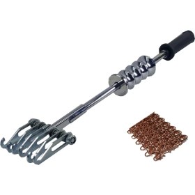 Resim Grayzer Aslan Pençesi 