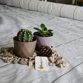 Resim 1,3x10 m BEYAZ SULZER KUMAŞ SERA TABAN ÖRTÜSÜ JÜT BLUEBERRY PEYZAJ UYGULAMA ÖRTÜSÜ MULCH NAYLONU ÇİLEK MALÇ 