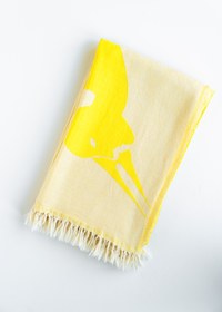 Resim Peshtamal 01: Anousha Payne 