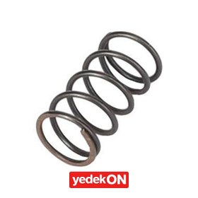 Resim AGCO Sıkıştırma Yayı - Fendt | F916961020120 