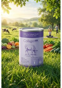 Resim Collagen Forte Kolajen Powder 500 G 