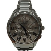 Resim Tiger TF-03219FF TIGER OTOMATİK ÇELİK ERKEK SAATİ 