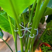 Resim 4 adet Bitki Kök Desteği Klipsi, Tırmanma Bitkisi Desteği Çerçevesi, Çiçek Kök Toplama Çerçevesi, Monstera Desteği Sabitleyici - Anti-Toplama, Bahar Tüyü Desteği, Hidroponik Dal Sabitleme Potu, Bahçecilik Çiçekleri ve Yeşil Bitkiler, Bitki Sabitleme Klipsleri, Bahçecilik Yardımcı Dal Düzenleme Anti-Toplama Bağlama Kayışları, Dekoratif Bitki Kök Toplama Çerçevesi. 