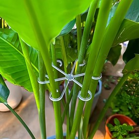 Resim 4 adet Bitki Kök Desteği Klipsi, Tırmanma Bitkisi Desteği Çerçevesi, Çiçek Kök Toplama Çerçevesi, Monstera Desteği Sabitleyici - Anti-Toplama, Bahar Tüyü Desteği, Hidroponik Dal Sabitleme Potu, Bahçecilik Çiçekleri ve Yeşil Bitkiler, Bitki Sabitleme Klipsleri, Bahçecilik Yardımcı Dal Düzenleme Anti-Toplama Bağlama Kayışları, Dekoratif Bitki Kök Toplama Çerçevesi. 