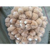 Resim Silver1 Gıoıo Yeni Sevimli Gerçek Saç Tilki Küçük Cinderblock Saç Araba Anahtarlık Kolye Ins Pixie Peluş Top Çanta Aksesuarları (Yurt Dışından) 