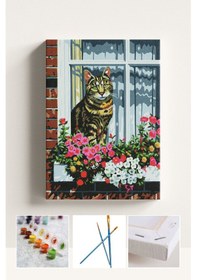 Resim Sayılarla Boyama Seti Numaralı Tuval Fırça Boya Tekir Kedi 40x50 Cm 