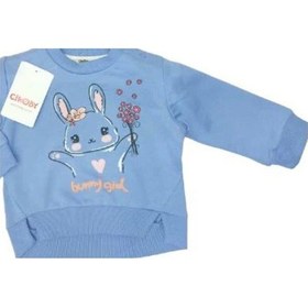 Resim Çikoby Kız Çocuk Yüzde Yüz Pamuklu Tavşan Baskılı Sweatshirt-13569 Lila 