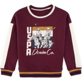 Resim U.s. Polo Assn. Erkek Çocuk Plum Sweatshirt 50308572-vr177 New Plum 