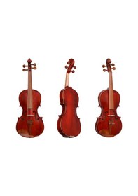 Resim Dominguez Drv44Crg Gül Aksamlı Profesyonel Keman Seti 