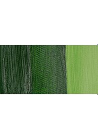 Resim Bob Ross Manzara Tekniği Yağlı Boya 37 ML Sap Green 