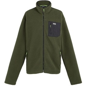 Resim Regatta Frankie Borg Fleece Erkek Polar - Haki 