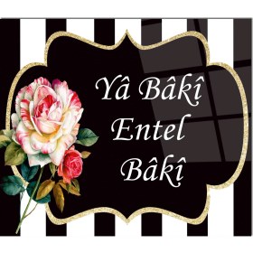 Resim Olinpa Cam Ocak Arkası Koruyucu | Ya Baki Entel Baki 