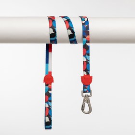 Resim Lindo Dogs Red Line Köpek Gezdirme Kayışı Kırmızı/Mavi Medium 