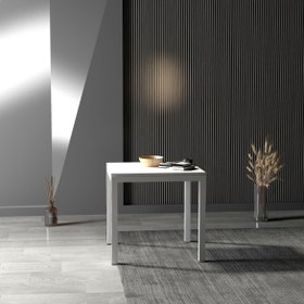 Resim Melan Yemek Masası & Toplantı Masası - Beyaz / S 
