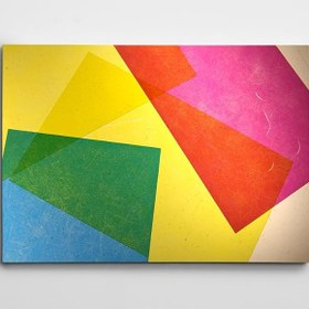 Resim Kaplan Siyah Beyaz Laptop Sticker 19 inch (40,5X27CM) 