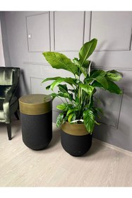 Resim filori dizayn Darbuka Eskitme Gold - Siyah Saksı ve Sehpa 