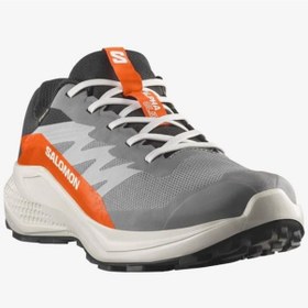 Resim Salomon Alphaglide Gore-tex Erkek Outdoor Koşu Ayakkabısı L47975300 Gri Gri 