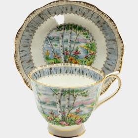Resim İngiliz Royal Albert Silver Birch çay fincanı 