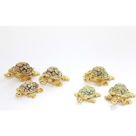 Resim Taşlı 3'lü Kaplumbağa 