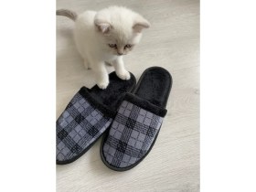 Resim Ebruli Butik Erkek Bohça Çeyiz Ev Terliği 