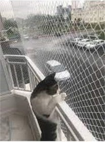 Resim 2x15 Metre Kedi Filesi Balkon Filesi Sık Dokuma Kalın Kuş Filesi 