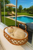Resim Tasaryum Kedi ve Köpek El Örgüsü Vantuzlu Cam Yatağı Kedi Hamağı Puf Minderli Kahve 