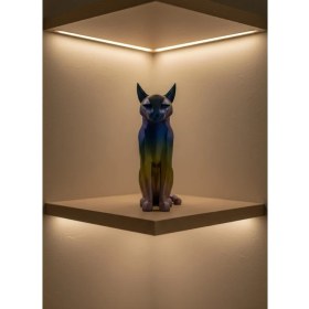 Resim AyrStore Koyu Rainbow Kedi 