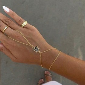 Resim Kaplumbağa Şahmeran 