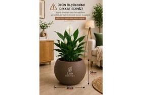 Resim Can Botanik 20 cm Moka Renk Modern Yuvarlak Küre Saksı 