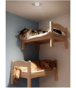 Resim Homedit Kedi Yatağı Yuvası Evi (1 ADET) 50cmx30cm 