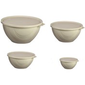 Resim Geseus Moonstar Elegance Kapaklı Yoğurt Mayalama Kabı 4 Parça Saklama Kabı 4+2,5+1+0,5litre 