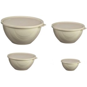 Resim Geseus Moonstar Elegance Kapaklı Yoğurt Mayalama Kabı 4 Parça Saklama Kabı 4+2,5+1+0,5litre 