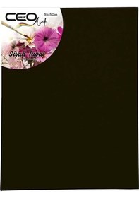 Resim Ceoart 35x50 Siyah Tuval Ceo-tu0009 