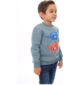 Resim Toontoy Kids Toontoy Erkek Çocuk Nakışlı Sweatshirt Açık Mavi 