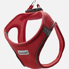 Resim Zampa Air Mesh Kedi Göğüs Tasması 