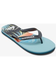 Resim Quiksilver Erkek Parmak Arası Desenli Terlik Aqyl101263 Çok Renkli 