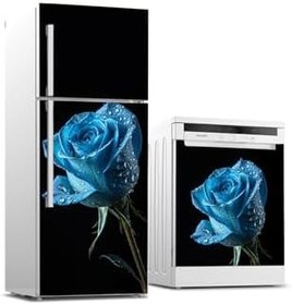 Resim Buzdolabı ve Bulaşık Makinesi Takım Sticker 0413 