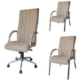 Resim Koltukstilim Diana Tpk Krom Müdür Koltuk Takımı Krem 