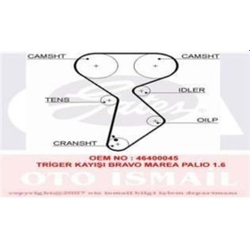 Resim GATES 5432XS TRIGER EKSANTRIK KAYISI PALIO ALBEA DOBLO MAREA BRAV 