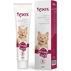 Resim Kedi Deri Ve Tüy Sağlığı İçin Biyotin, Çinko Ve Omega 3 Macunu - 100 Gr 