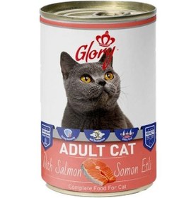 Resim 12x400 Gram Glory Parça Somon Etli Kedi Konservesi 