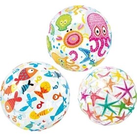 Resim 51 Cm Meyve Desenli Deniz Topu Belirtilmemiş 