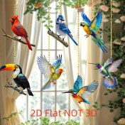 Resim 2D Düz Baskı, 7 Akrilik Kuş Asılı Süs Seti, Cam Stil Açık Bahçe Dekorasyonu, Toucan, Kırmızı Kuş, Su Kite, Hummingbird, Parrot, Mavi Corap, Ev ve Parti için Çok Fonksiyonlu Dekorasyon, Güç Kaynağı Gerektirmez. 
