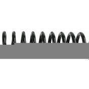 Resim Helezon Yayı Arka W210 Bm 95-02 Sch 996 607 
