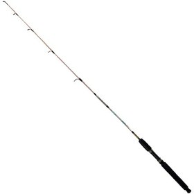Resim Fishpro Echo 165cm 100-250gr Tekne Kamışı 